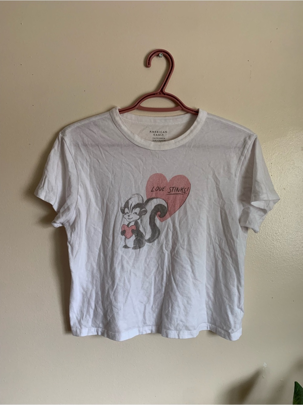 American Eagle Outfitters White Graphic Tee - Love Stinks
